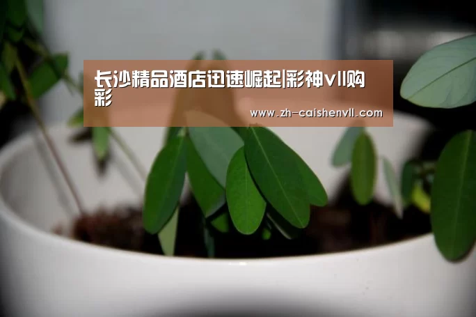 长沙精品酒店迅速崛起|彩神vll购彩(图2) 彩神vll购彩
