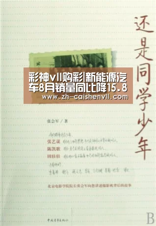彩神vll购彩|新能源汽车8月销量同比降15.8%中消协:压力没有缓解(图3) 彩神vll购彩