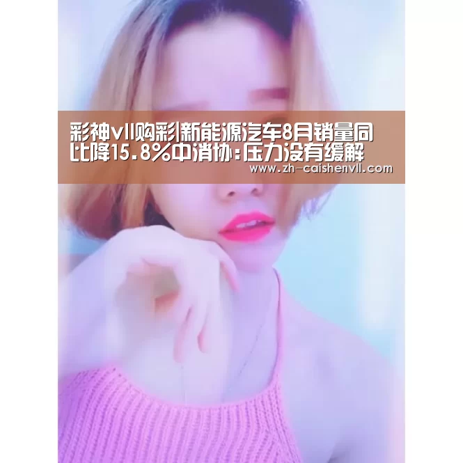 彩神vll购彩|新能源汽车8月销量同比降15.8%中消协:压力没有缓解(图2) 彩神vll购彩