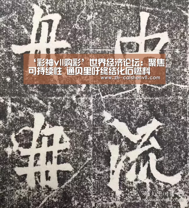 ‘彩神vll购彩’世界经济论坛：聚焦可持续性 通贝里吁终结化