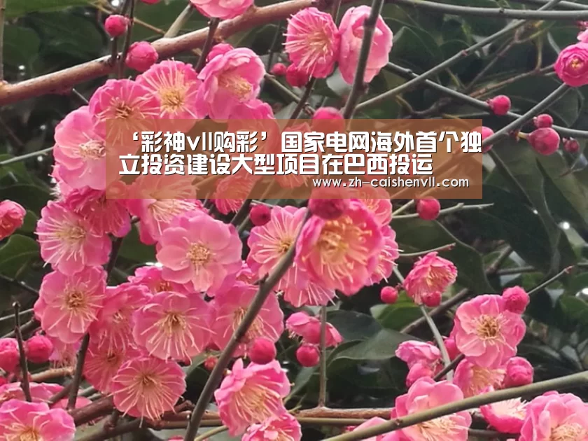 ‘彩神vll购彩’国家电网海外首个独立投资建设大型项目在巴西投运(图2) 彩神vll购彩